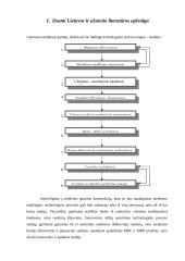 Teršalų sklaidos atmosferoje skaičiavimas ir valymo įrenginių projektavimas 3 puslapis