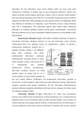 Teršalų sklaidos atmosferoje skaičiavimas ir valymo įrenginių projektavimas 5 puslapis