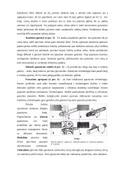Teršalų sklaidos atmosferoje skaičiavimas ir valymo įrenginių projektavimas 7 puslapis