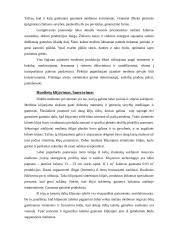 Teršalų sklaidos atmosferoje skaičiavimas ir valymo įrenginių projektavimas 8 puslapis