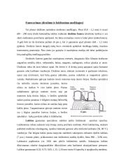 Teršalų sklaidos atmosferoje skaičiavimas ir valymo įrenginių projektavimas 9 puslapis