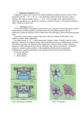 Automobilio variklio aušinimo sistemos sandara 6 puslapis