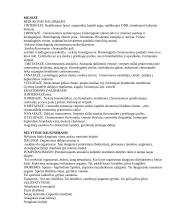 Dauginimasis - mitozė ir mejozė 2 puslapis
