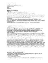 Dauginimasis - mitozė ir mejozė 3 puslapis