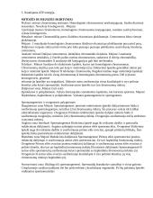 Dauginimasis - mitozė ir mejozė 4 puslapis