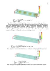 Bangų sklidimo režimų bangolaidyje tyrimo ataskaita 3 puslapis