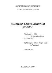 Chemijos laboratoriniai darbai 1 puslapis