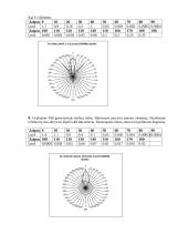 Direktorinė antena 5 puslapis