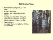 Kristijonas Donelaitis. Gyvenimas ir kūryba  13 puslapis