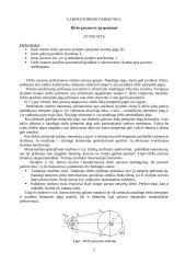 Diržo pavaros ir jų ypatumai 2 puslapis