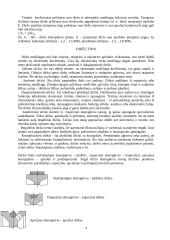 Diržo pavaros ir jų ypatumai 4 puslapis