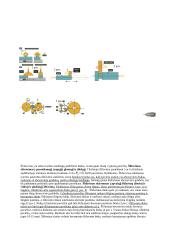 Tekinimo įrenginiai 8 puslapis