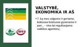 Ekonomika ir valstybė  13 puslapis