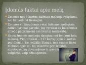 Kas yra melas? 9 puslapis