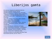 Liberija - geografija, klimatas, demografija, gamta bei ekonomika 15 puslapis