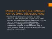 Everestas (Džomolungma) 12 puslapis