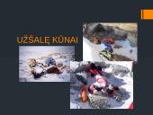 Everestas (Džomolungma) 13 puslapis