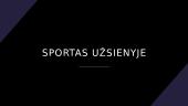 Politika, ekonomika ir kultūra Lietuvoje 20 puslapis