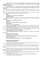 Jurgis Savickis - išsamus konspektas 2 puslapis