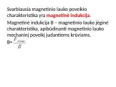 Magnetizmas bei magnetinis laukas 13 puslapis