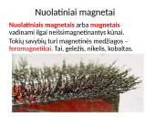 Magnetizmas bei magnetinis laukas 14 puslapis