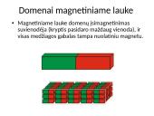Magnetizmas bei magnetinis laukas 16 puslapis