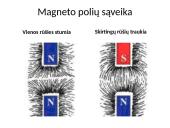 Magnetizmas bei magnetinis laukas 18 puslapis