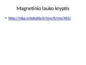 Magnetizmas bei magnetinis laukas 7 puslapis