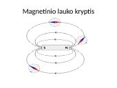 Magnetizmas bei magnetinis laukas 8 puslapis