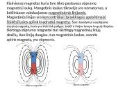 Magnetizmas bei magnetinis laukas 10 puslapis