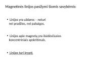 Elektromagnetinė indukcija ir nuolatiniai magnetai 14 puslapis