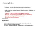 Elektromagnetinė indukcija ir nuolatiniai magnetai 8 puslapis