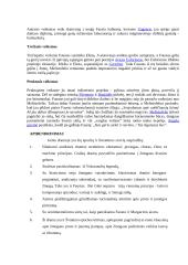 Faustas ir Margarita. Veikėjų analizė 3 puslapis