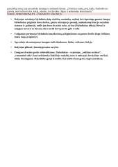 "Dėdės ir Dėdienės" veikėjų paveikslai 3 puslapis