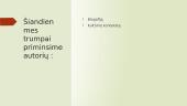 Šatrijos Ragana ir J. Biliūnas 2 puslapis