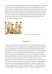 Senovės Graikijos išvaizdos kultūros ypatumai ir reikšmė visuomenei 6 puslapis