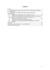 Apskrities valdymo organizavimas 2 puslapis