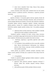 Apskrities valdymo organizavimas 13 puslapis