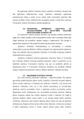 Apskrities valdymo organizavimas 15 puslapis
