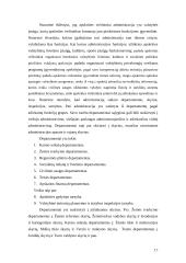 Apskrities valdymo organizavimas 17 puslapis