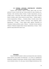 Apskrities valdymo organizavimas 18 puslapis