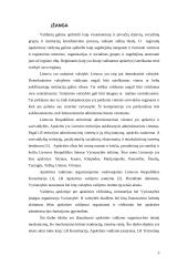 Apskrities valdymo organizavimas 3 puslapis