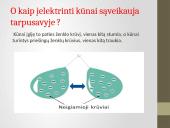 Elektrinimo reiškinys  11 puslapis