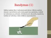 Elektrinimo reiškinys  6 puslapis