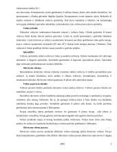 Automobilio dujų skirstymo mechanizmas 2 puslapis