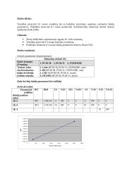 E1 srauto analizė 2 puslapis