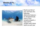 Who are the sharks 3 puslapis