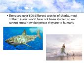 Who are the sharks 4 puslapis