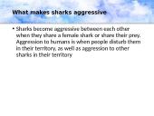 Who are the sharks 7 puslapis