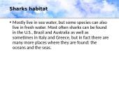 Who are the sharks 8 puslapis